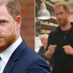 Prince Harry Fights Back Tears in Social Media Lawsuit Speech Mirror UK