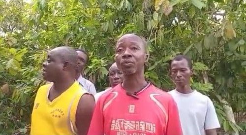 Ghana’s Unpaid Cocoa Farmers Forced to Go Hungry as Payment Delays Bite | newsghana