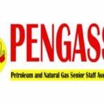 Petroleum and Natural Gas Senior Staff Association of Nigeria (PENGASSAN) | premiumtimesng
