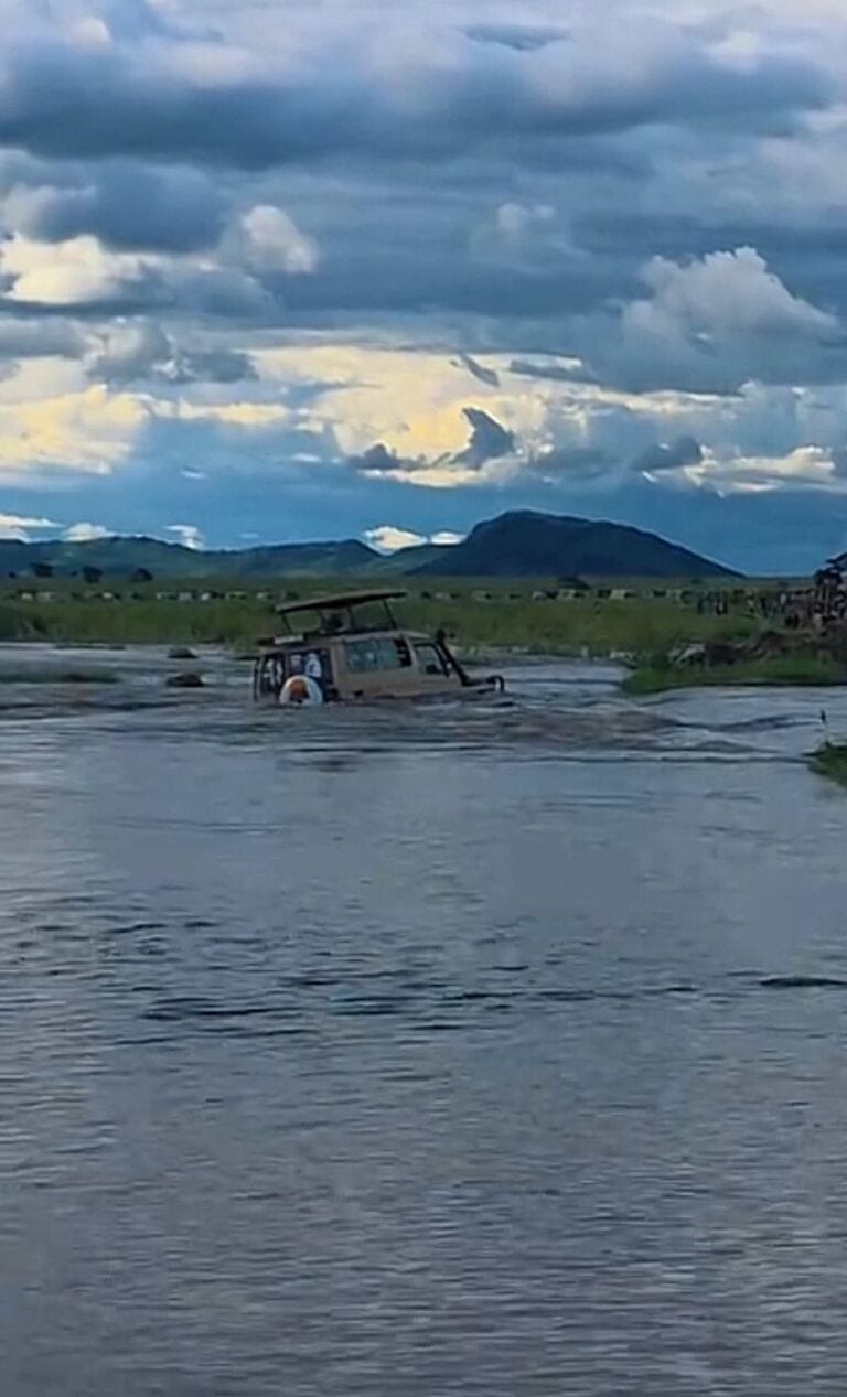 Floods in Serengeti Put Tourists at Risk