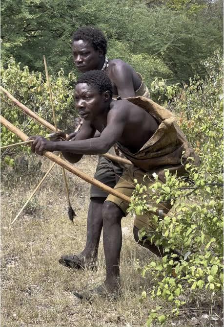 Tanzanian MP Warns Modern Lifestyle Could Destroy Hadzabe Culture After Chaaba Appearance in Parliament | Swahili Today